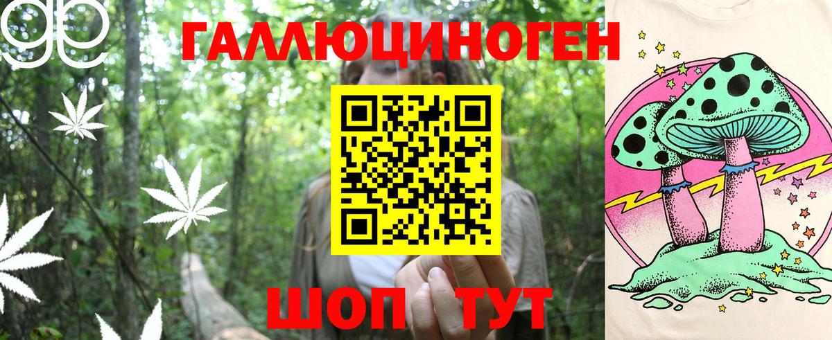 Псилоцибиновые грибы GOLDEN TEACHER  Вход с VPN  Славгород 