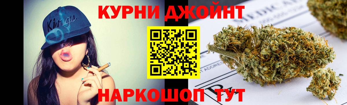 Каннабис сатива Славгород